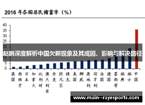 赵鹏深度解析中国欠薪现象及其成因、影响与解决路径