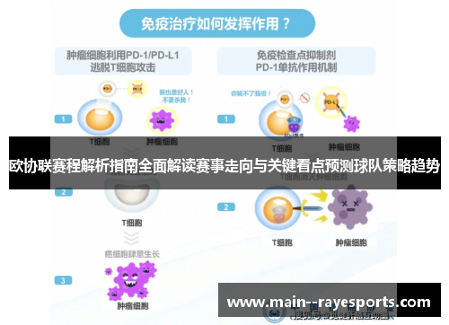 欧协联赛程解析指南全面解读赛事走向与关键看点预测球队策略趋势