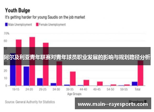 阿尔及利亚青年联赛对青年球员职业发展的影响与规划路径分析